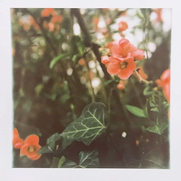 Hello! - Picture 5 of 11